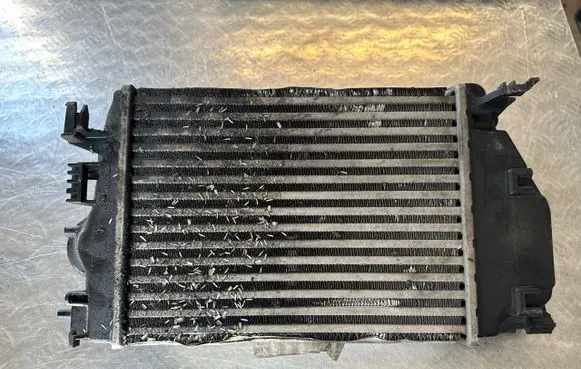 Renault Kadjar Intercooler radiator 144614EA1B