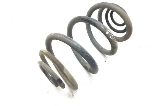 Rear coil spring