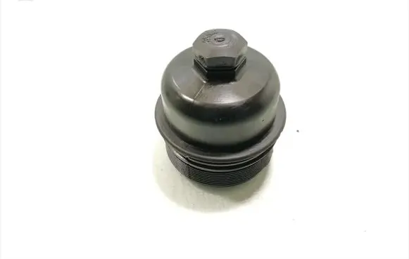 Ford Fiesta Oil filter cover 