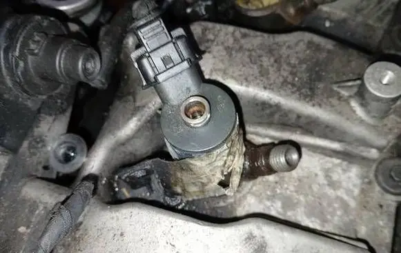 Chevrolet Captiva Fuel injector 0445110270