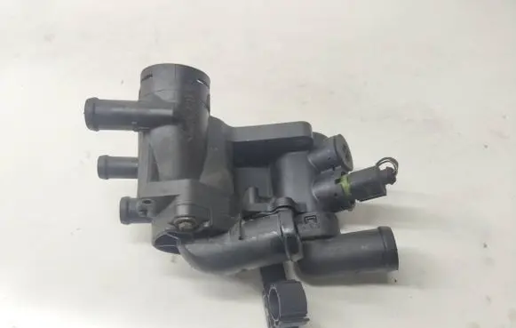 Thermostat/thermostat housing