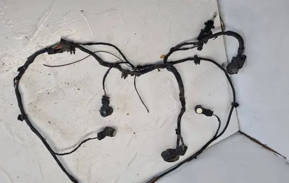Volkswagen PASSAT CC Parking sensor (PDC) wiring loom 3C8971095AJ