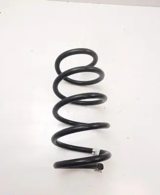 Ford Mustang Mach-E Front coil spring LJ9C5310ENA