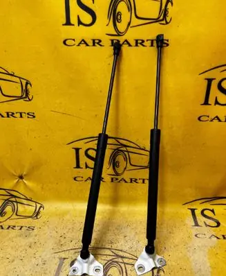 Dacia Sandero III Tailgate/trunk strut/damper 904514512R