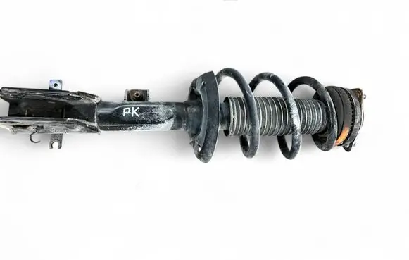Chrysler Pacifica Front shock absorber with coil spring P68248727AC 824904011003 160161