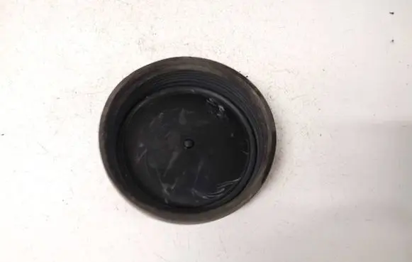Headlight/headlamp dust cover