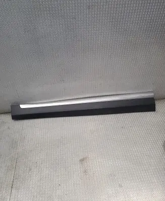MG ZS Front door trim (molding) 10360762