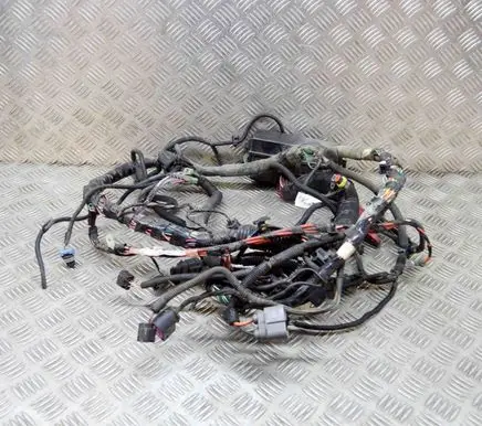 Tesla Model S Other wiring loom 100909604H