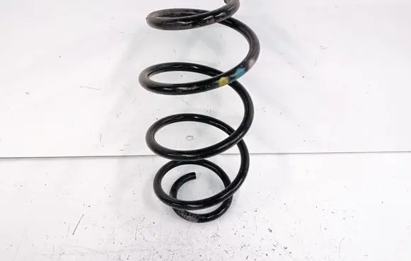 Front coil spring