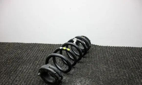 Rear coil spring