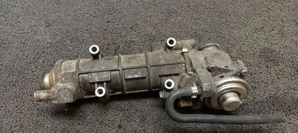 EGR valve cooler