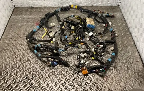 Toyota Land Cruiser (HDJ90) Panel wiring 