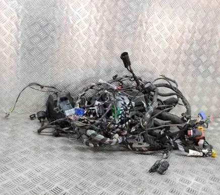 Jaguar XF X250 Other wiring loom 5605002800 AX2314290XXX