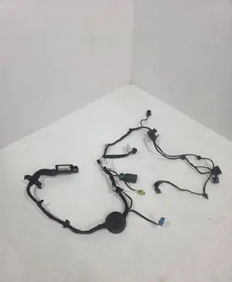Bentley Bentayga Front door wiring loom 36C971030DG 7AB034300E