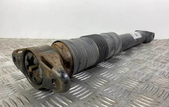 Rear shock absorber/damper