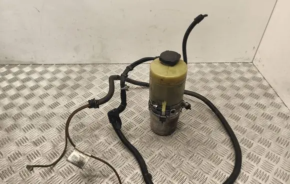 Opel Signum Power steering pump M1376016FV 24451552