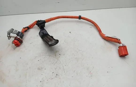 Lexus RX 450H Other wiring loom 8281548470 821H248010