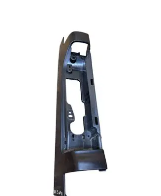 Rear/tail light trim molding
