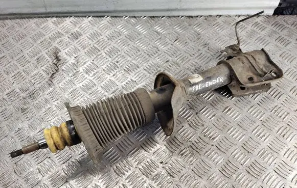 Land Rover Freelander 2 - LR2 Rear shock absorber with coil spring RFB500170 22234677