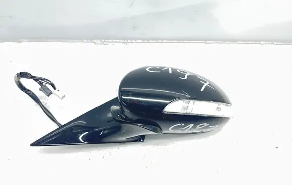 Mercedes-Benz CLS C219 Front door electric wing mirror 454215