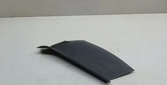 Rear/tail light trim molding