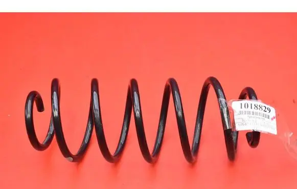 Rear coil spring