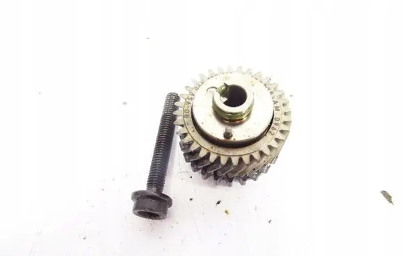 Seat Leon (5F) Timing chain sprocket 06K103319