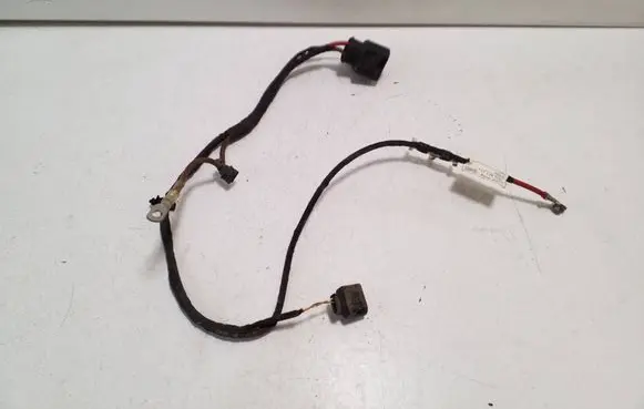 Cupra Born Other wiring loom 1EC971111