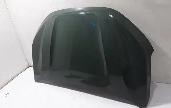 Dacia Sandero III Engine bonnet/hood 651224904R