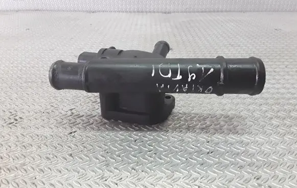 Thermostat/thermostat housing