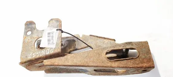 Front lower control arm/wishbone