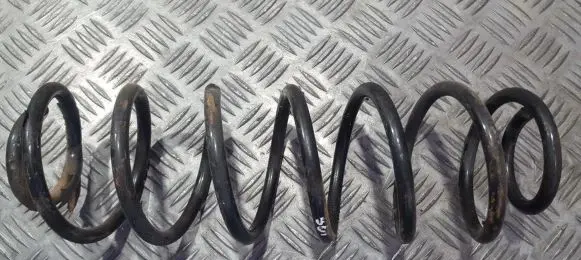 Rear coil spring