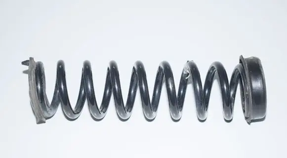 Rear coil spring