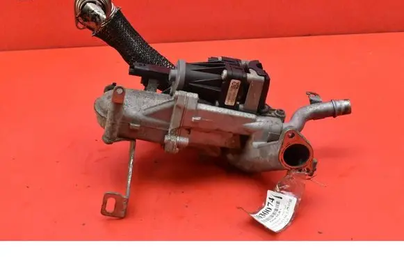 Ford Focus EGR valve 702209080