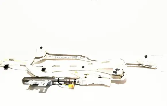 Audi A6 S6 C7 4G Roof airbag 4G5880742B