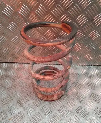 Toyota RAV 4 (XA20) Rear coil spring 