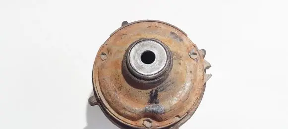 Coil spring mount