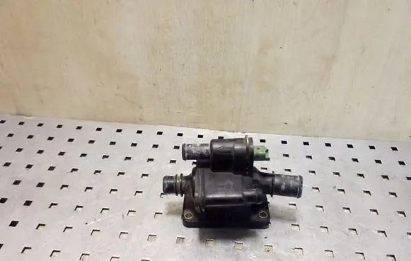 Thermostat/thermostat housing
