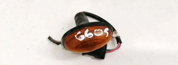 Front fender indicator light