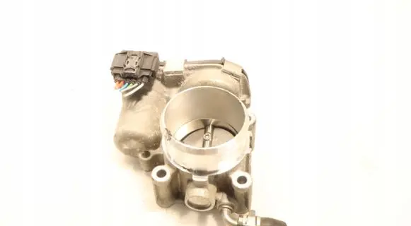Throttle body valve