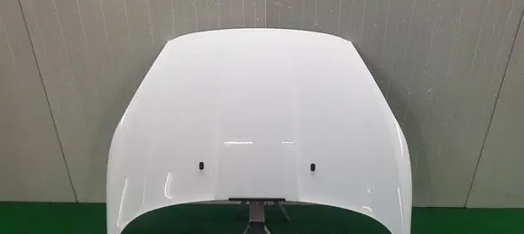 Ford Fiesta Engine bonnet/hood 