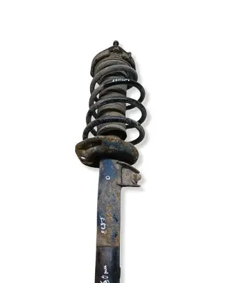 Skoda Yeti (5L) Front shock absorber/damper 