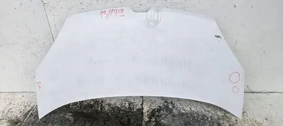 Renault Kangoo II Engine bonnet/hood 