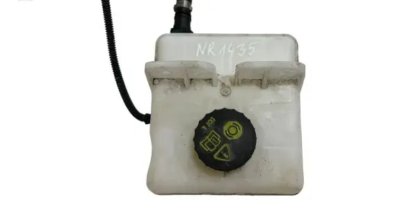 Renault Zoe Brake fluid reservoir 0204850986