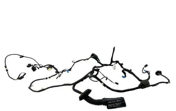 BMW 6 G32 Gran Turismo Front door wiring loom/harness boot 6842621