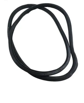Volkswagen ID.4 Front door rubber seal 11A867912B