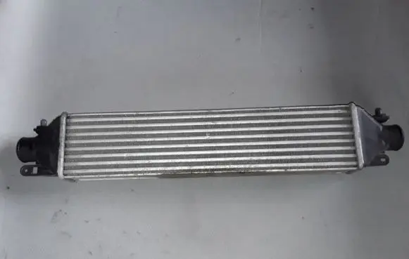 Opel Combo D Intercooler radiator 896255500