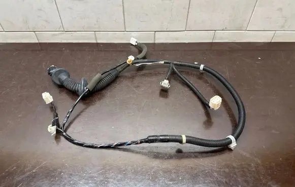 Rear door wiring loom