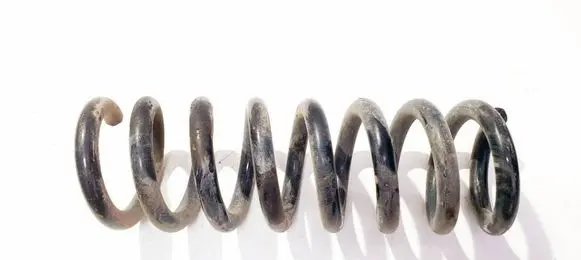 Rear coil spring