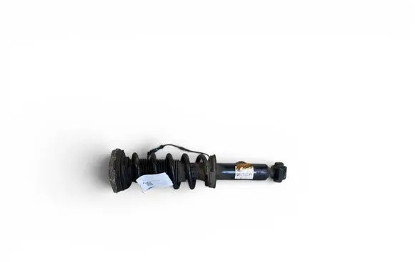 BMW X3 G01 Rear shock absorber/damper 6887152
